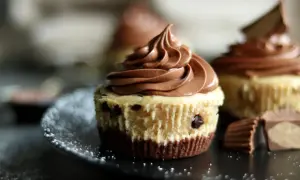 Schokoladen-Cheesecake-Muffins mit zarter Creme und Schokostückchen, garniert mit Schokostückchen.