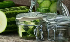 Zucchini-Scheiben und -Würfel in Gläsern, bereit zum einkochen im Dampfgarer. Frische Zucchini liegt daneben.