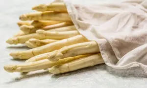Frischer weißer Spargel, bereit zum Einfrieren, liegt auf einem hellen Untergrund, teilweise von einem weißen Tuch bedeckt.
