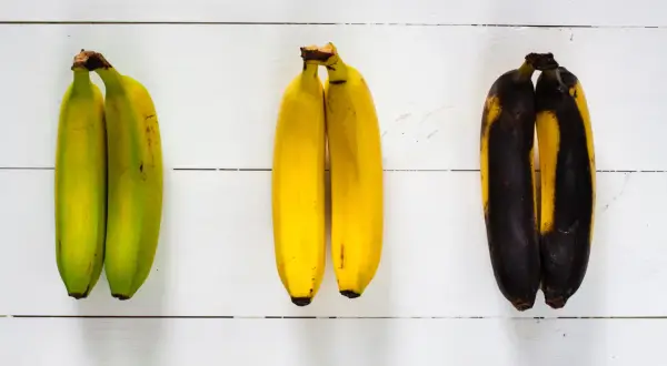 Drei Paare Bananen: grün, gelb und braun. Perfekt für Bananenbrot oder zum Bananen einkochen.