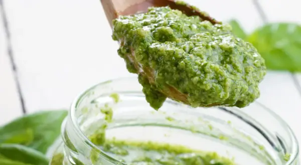 Frisch zubereitetes Basilikum-Pesto auf einem Holzlöffel, bereit für das Einmachen. Ein tolles Rezept für Basilikum-Pesto auf Vorrat.