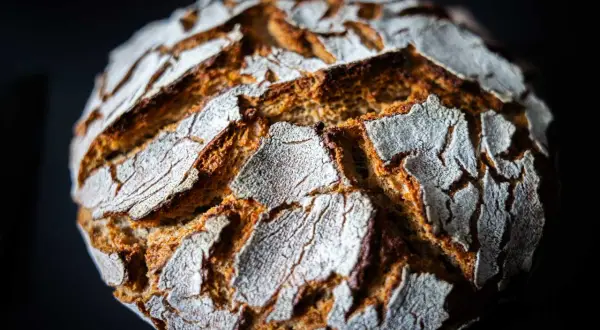 Ein rustikales Roggenmischbrot mit Sauerteig, dessen Kruste knusprig und mit Mehl bestäubt ist.
