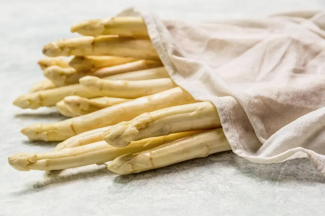 Frischer weißer Spargel, bereit zum Einfrieren, liegt auf einem hellen Untergrund, teilweise von einem weißen Tuch bedeckt.